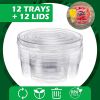 12 Pcs Round Appetizer Serving Trays With Lids 5 Compartment Container Fruit Vegetable Divided Storage Organize