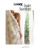 Large Cream Throw Blanket for Couch and for Bed, soft and cozy as rabbit fur.