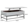45 Inch Rectangular Mango Wood Coffee Table; Lift Top Storage; Iron Frame; White; Black